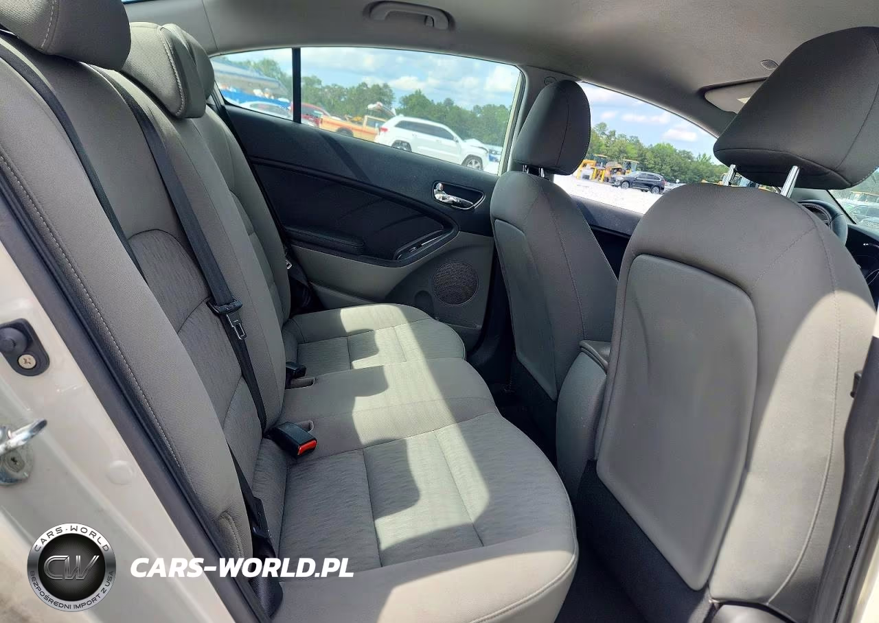 2015 Kia Forte Lx VIN:KNAFK4A68F5334655 - 10