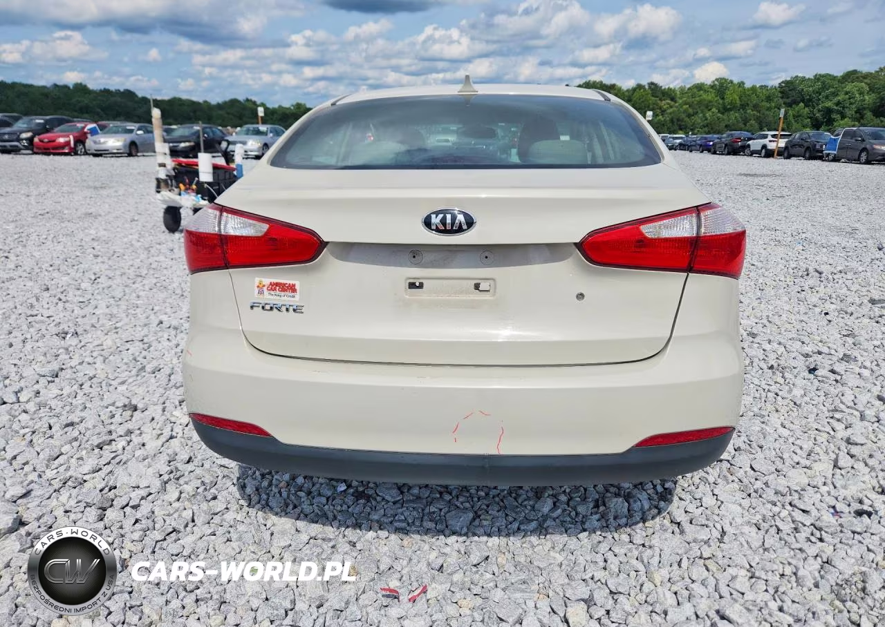 2015 Kia Forte Lx VIN:KNAFK4A68F5334655 - 6