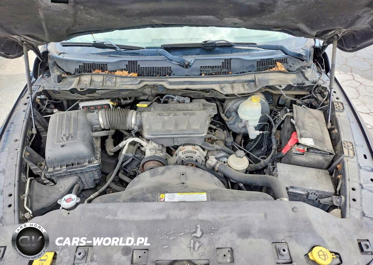 2009 Dodge Ram 1500 VIN:1D3HV18P79S803876 - 11