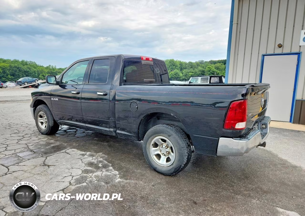 2009 Dodge Ram 1500 VIN:1D3HV18P79S803876 - 2