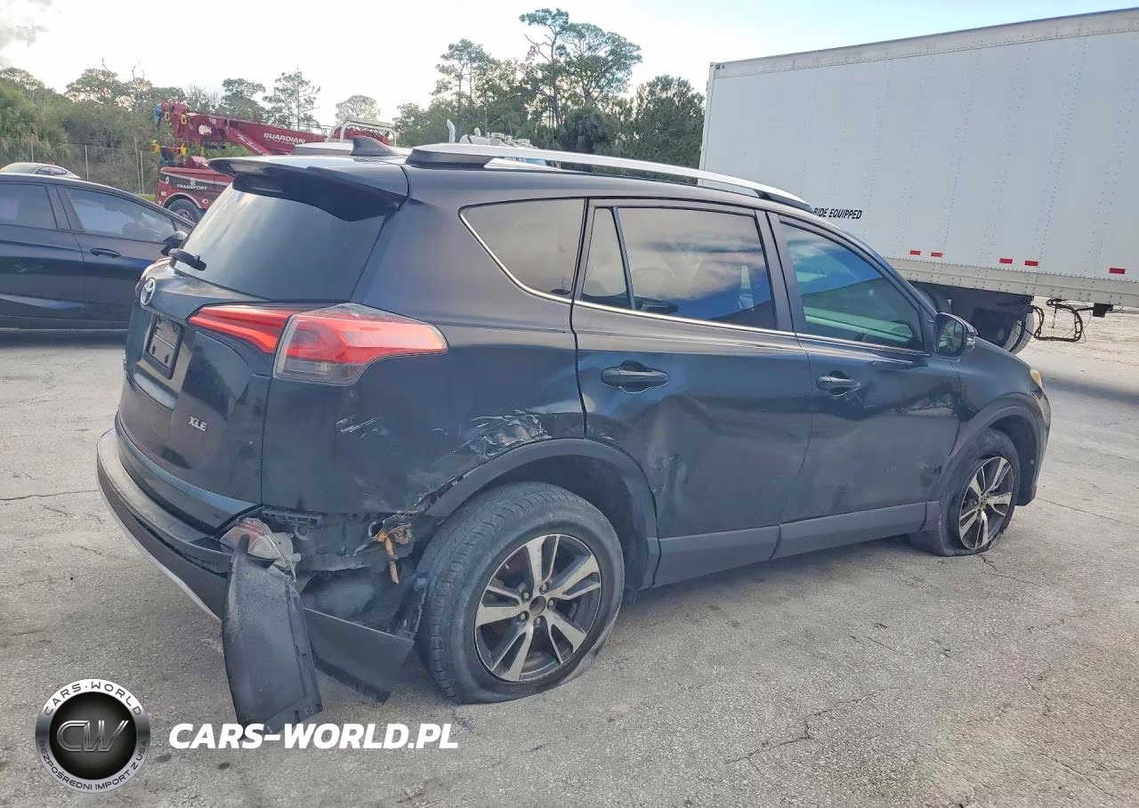 2016 Toyota Rav4 Xle VIN:2T3WFREV3GW239842 - 3