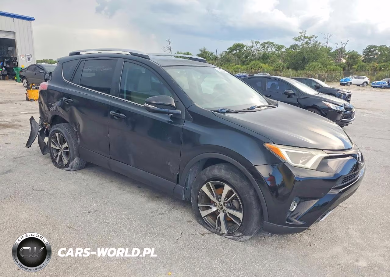 2016 Toyota Rav4 Xle VIN:2T3WFREV3GW239842 - 4