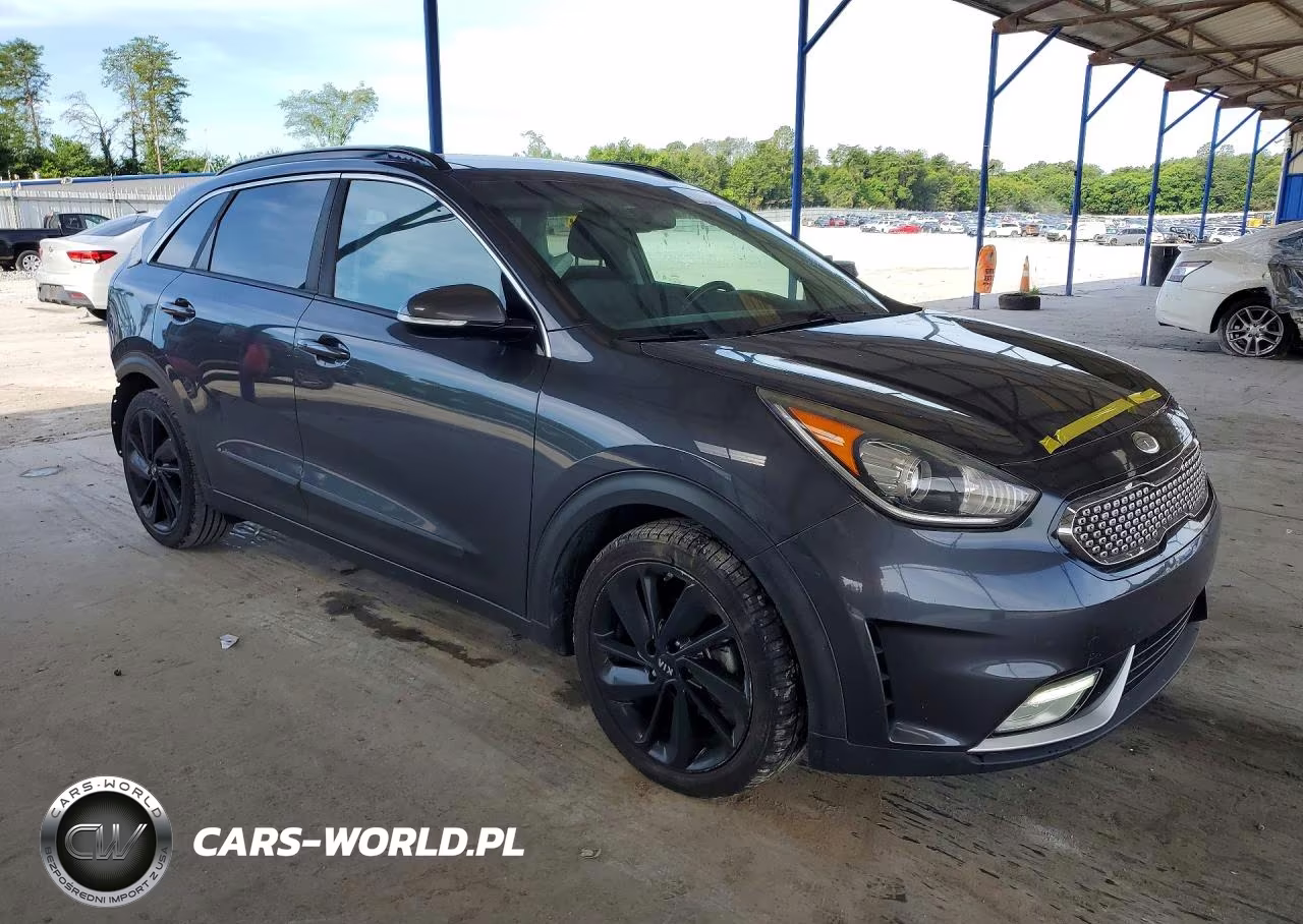 2018 Kia Niro Ex VIN:KNDCC3LC9J5141195 - 4