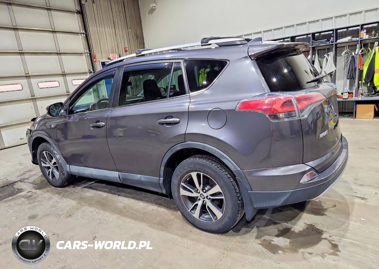 2016 Toyota Rav4 Xle VIN:2T3RFREV2GW499923 - 2