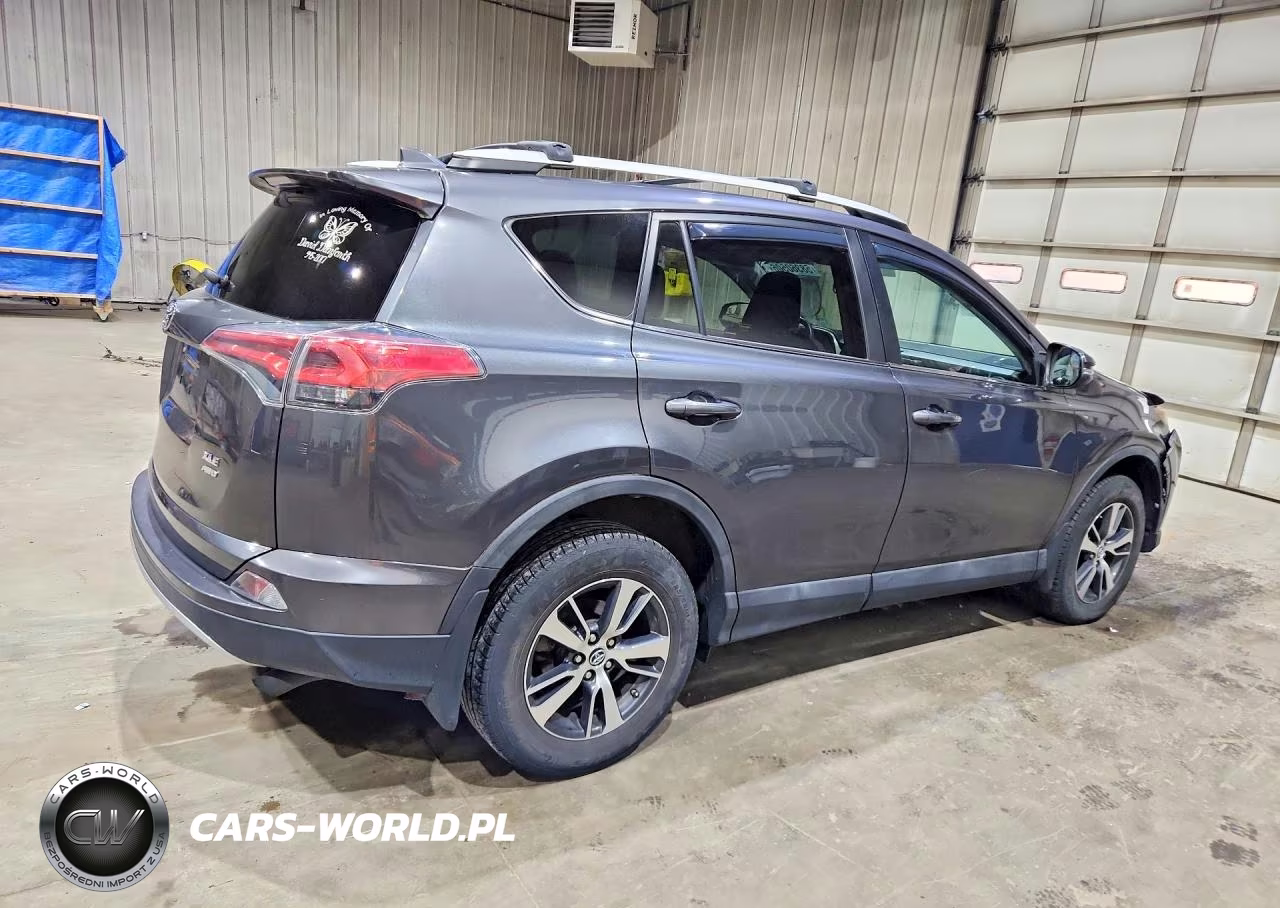 2016 Toyota Rav4 Xle VIN:2T3RFREV2GW499923 - 3