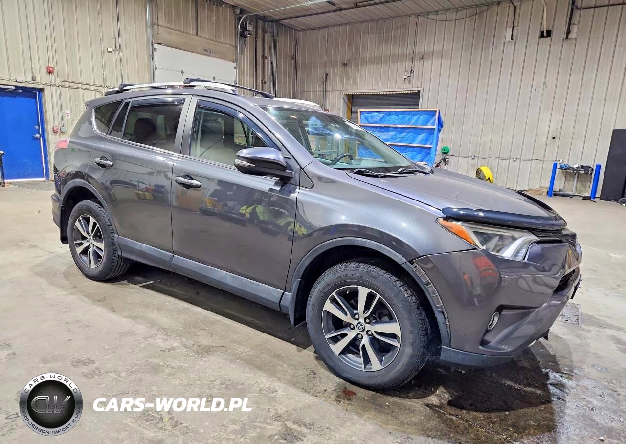2016 Toyota Rav4 Xle VIN:2T3RFREV2GW499923 - 4