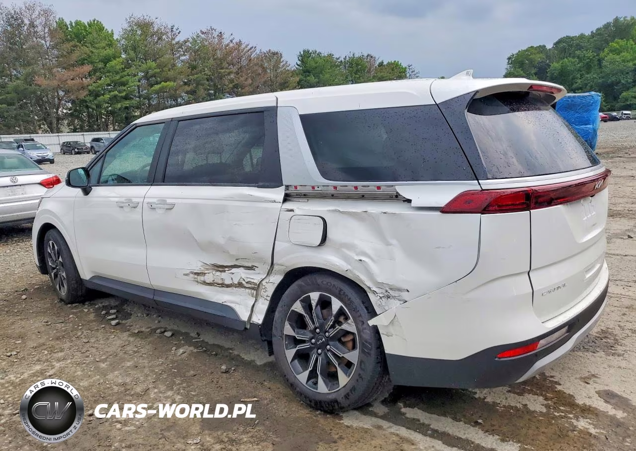 2024 Kia Carnival Ex VIN:KNDNC5H34R6445201 - 2