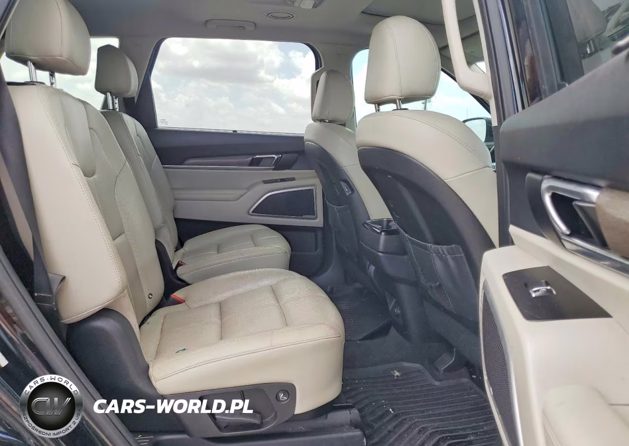 2020 Kia Telluride Ex VIN:5XYP3DHCXLG057042 - 11