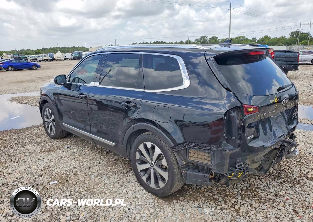 2020 Kia Telluride Ex VIN:5XYP3DHCXLG057042 - 2