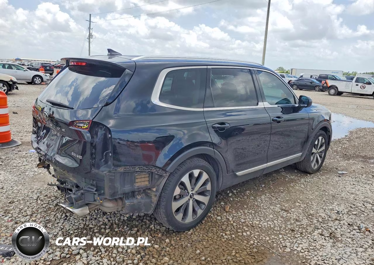 2020 Kia Telluride Ex VIN:5XYP3DHCXLG057042 - 3