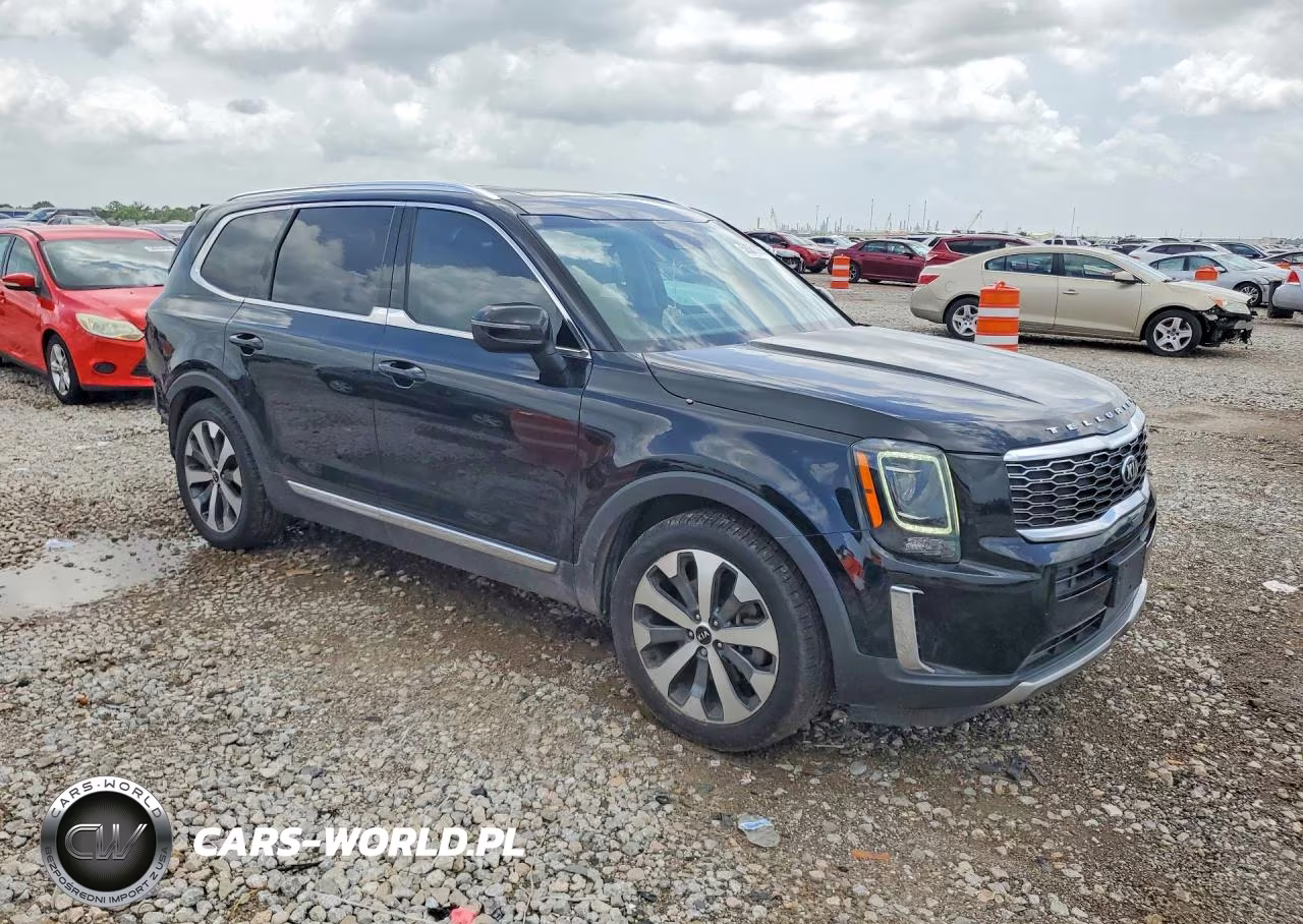 2020 Kia Telluride Ex VIN:5XYP3DHCXLG057042 - 4