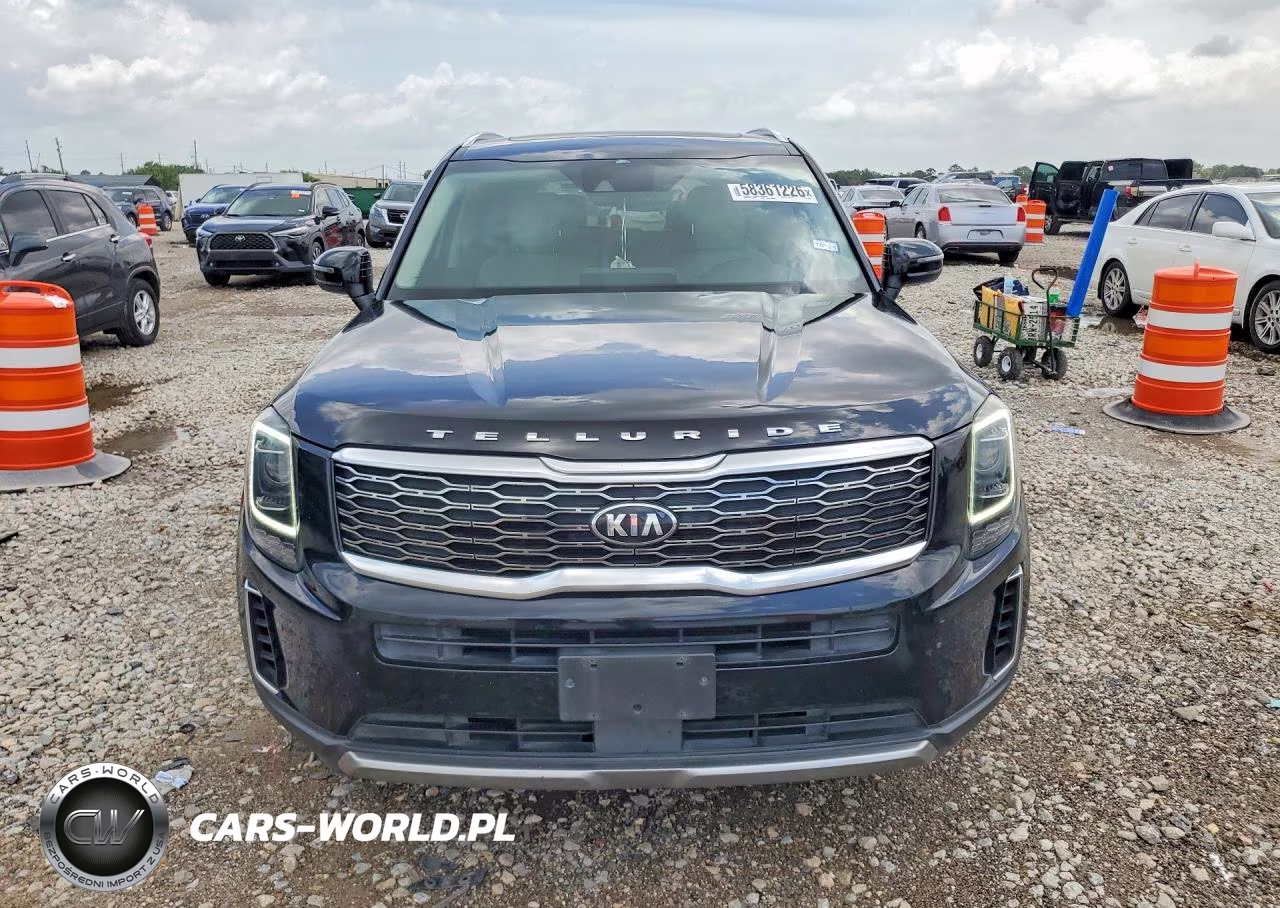 2020 Kia Telluride Ex VIN:5XYP3DHCXLG057042 - 5