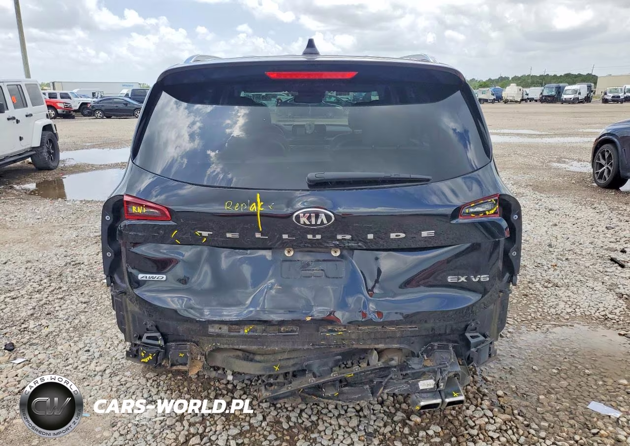 2020 Kia Telluride Ex VIN:5XYP3DHCXLG057042 - 6