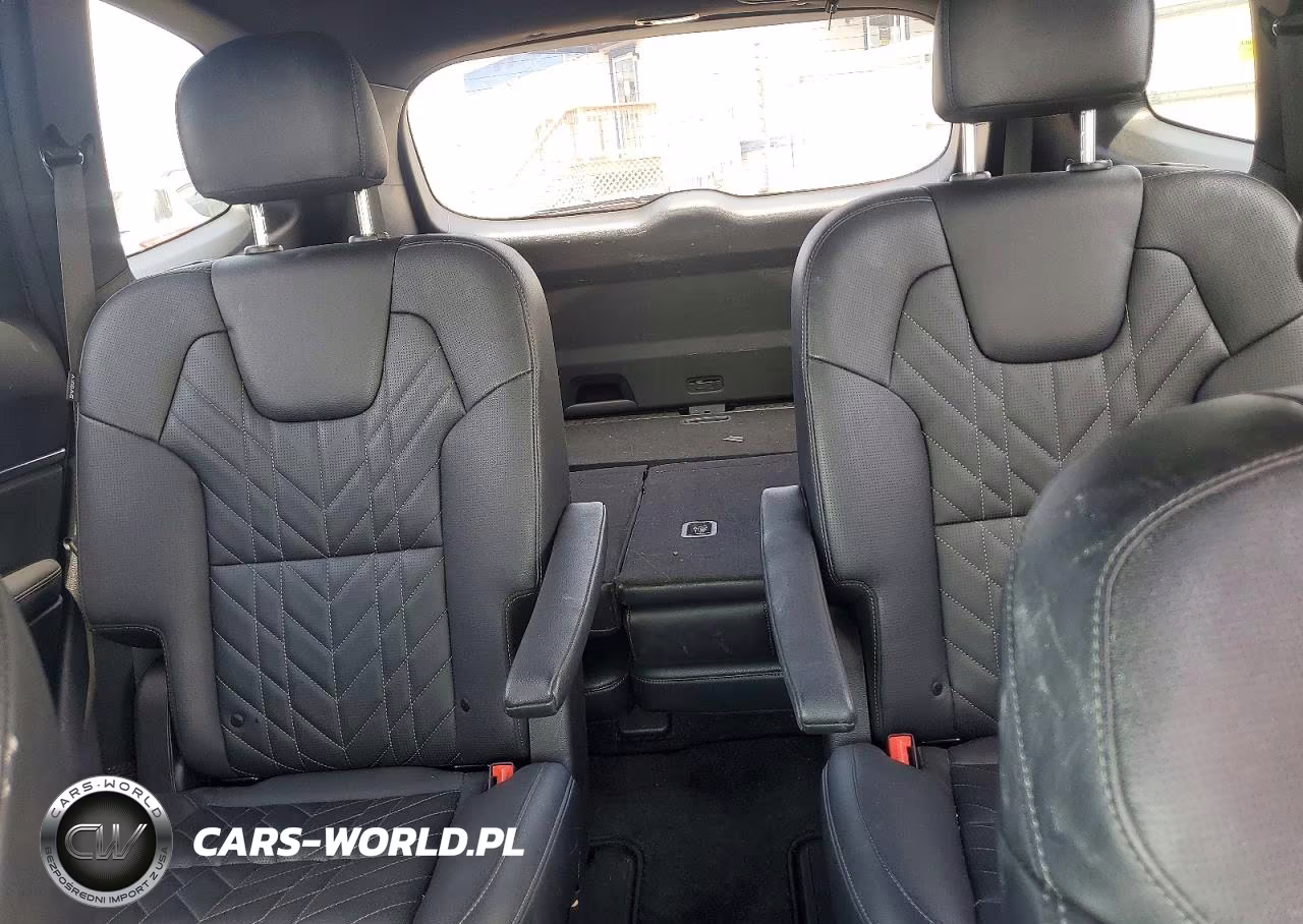 2024 Kia Telluride Ex X-Line VIN:5XYP3DGC5RG560634 - 10