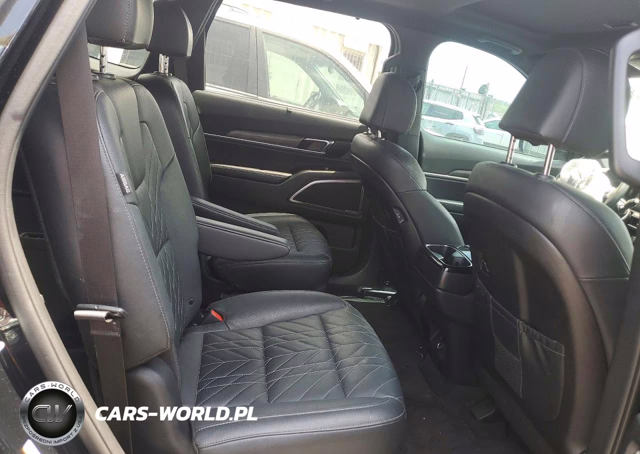2024 Kia Telluride Ex X-Line VIN:5XYP3DGC5RG560634 - 11