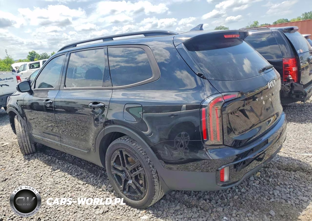 2024 Kia Telluride Ex X-Line VIN:5XYP3DGC5RG560634 - 2