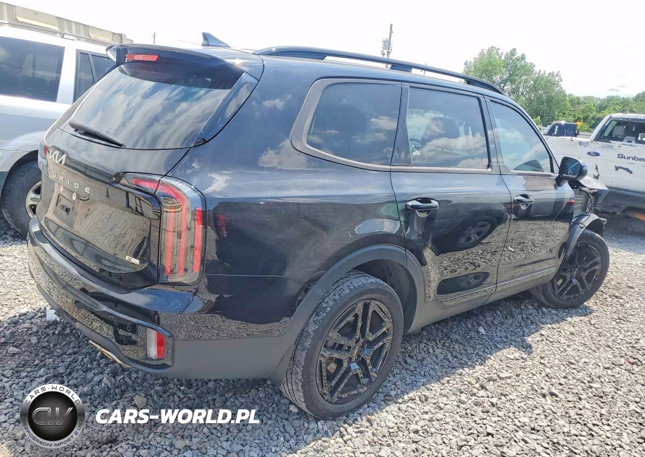 2024 Kia Telluride Ex X-Line VIN:5XYP3DGC5RG560634 - 3