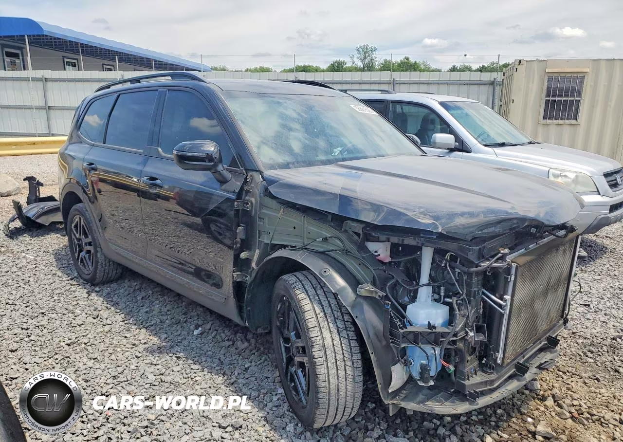2024 Kia Telluride Ex X-Line VIN:5XYP3DGC5RG560634 - 4