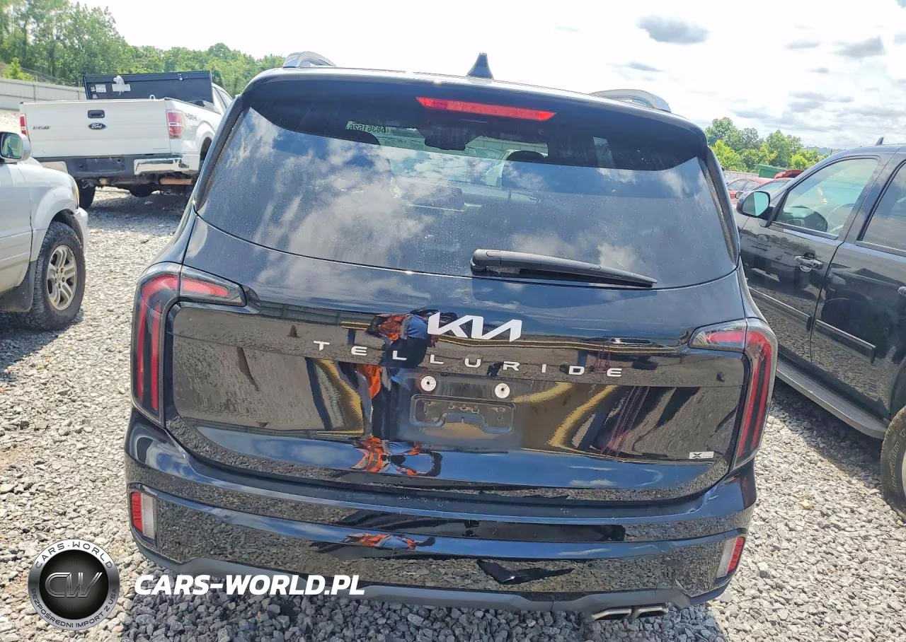 2024 Kia Telluride Ex X-Line VIN:5XYP3DGC5RG560634 - 6