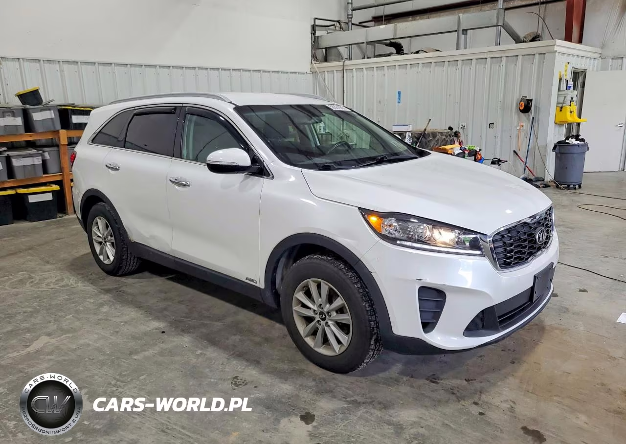 2019 Kia Sorento Lx VIN:5XYPGDA39KG568447 - 4