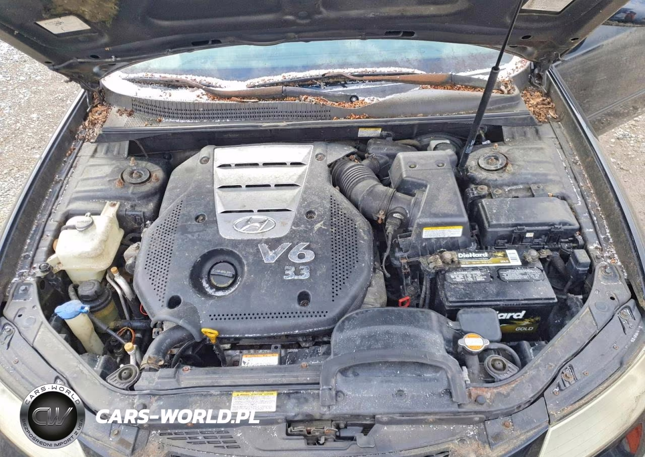2006 Hyundai Sonata Gls V6 VIN:5NPEU46F16H143922 - 11