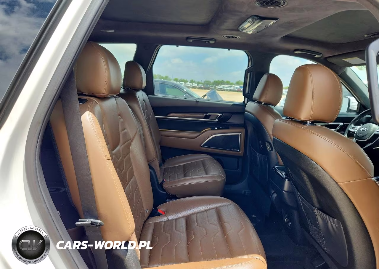 2020 Kia Telluride Sx VIN:5XYP5DHC7LG044887 - 11