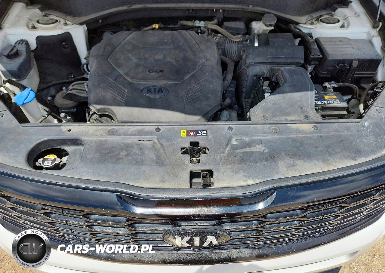 2020 Kia Telluride Sx VIN:5XYP5DHC7LG044887 - 12