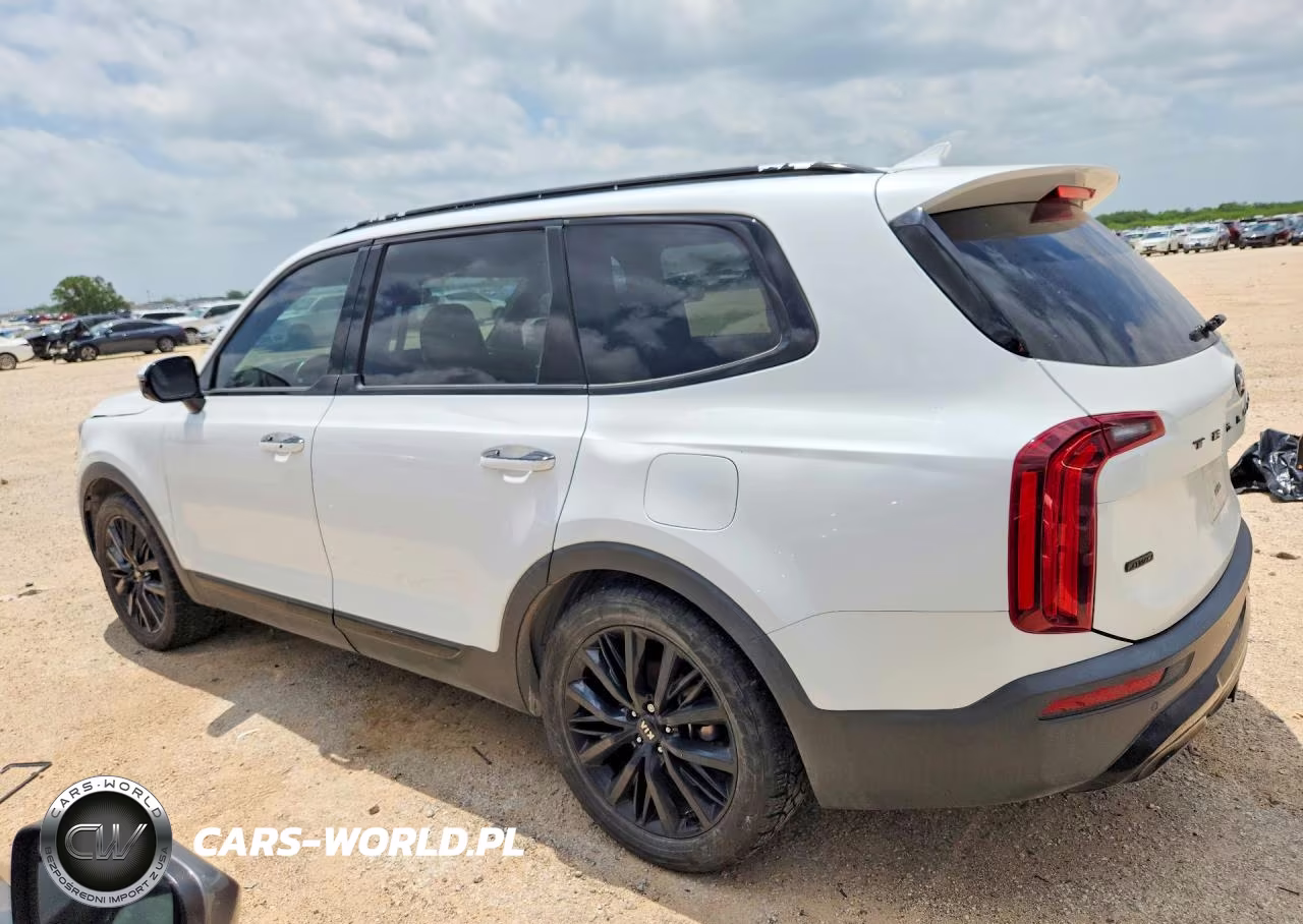 2020 Kia Telluride Sx VIN:5XYP5DHC7LG044887 - 2