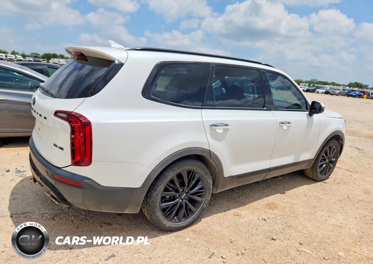 2020 Kia Telluride Sx VIN:5XYP5DHC7LG044887 - 3