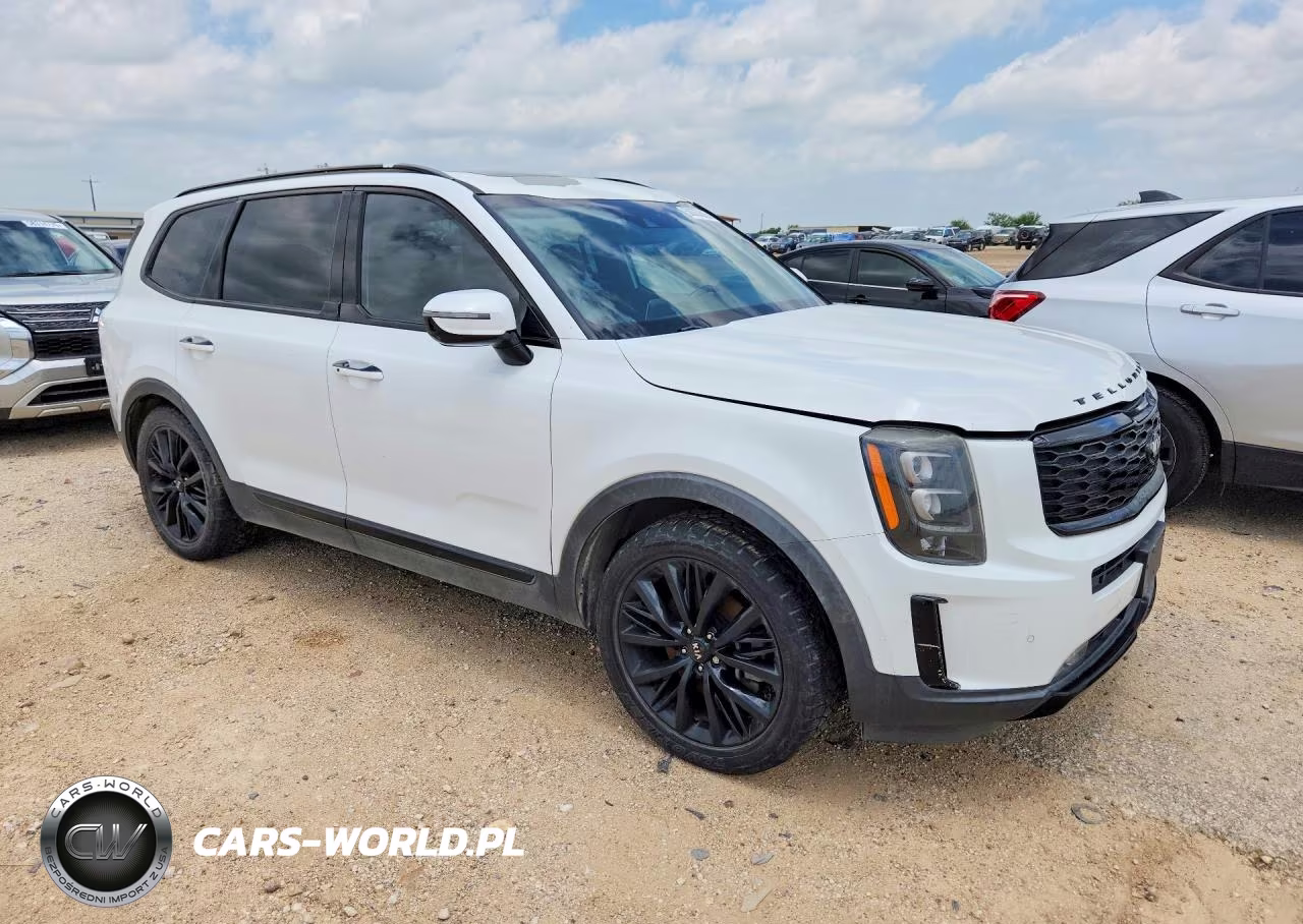 2020 Kia Telluride Sx VIN:5XYP5DHC7LG044887 - 4