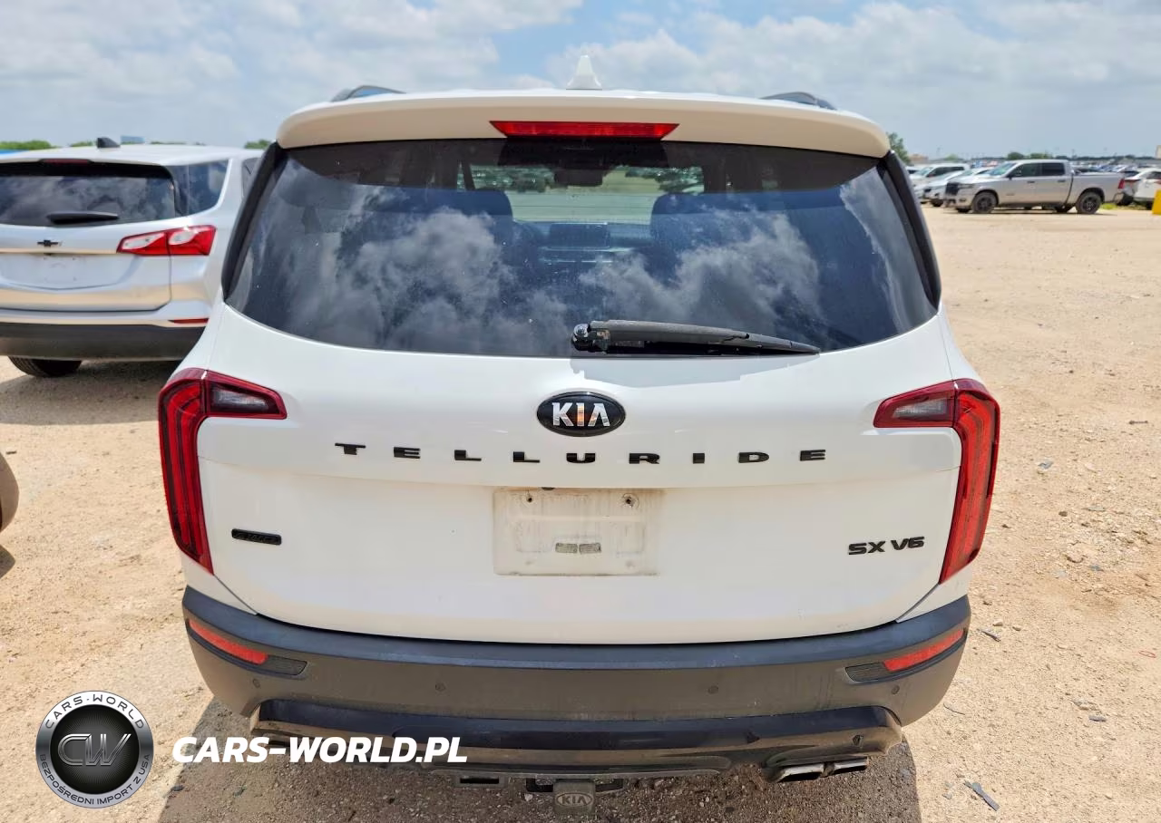 2020 Kia Telluride Sx VIN:5XYP5DHC7LG044887 - 6