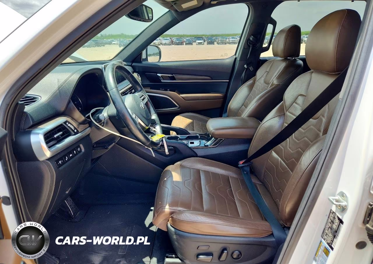 2020 Kia Telluride Sx VIN:5XYP5DHC7LG044887 - 7
