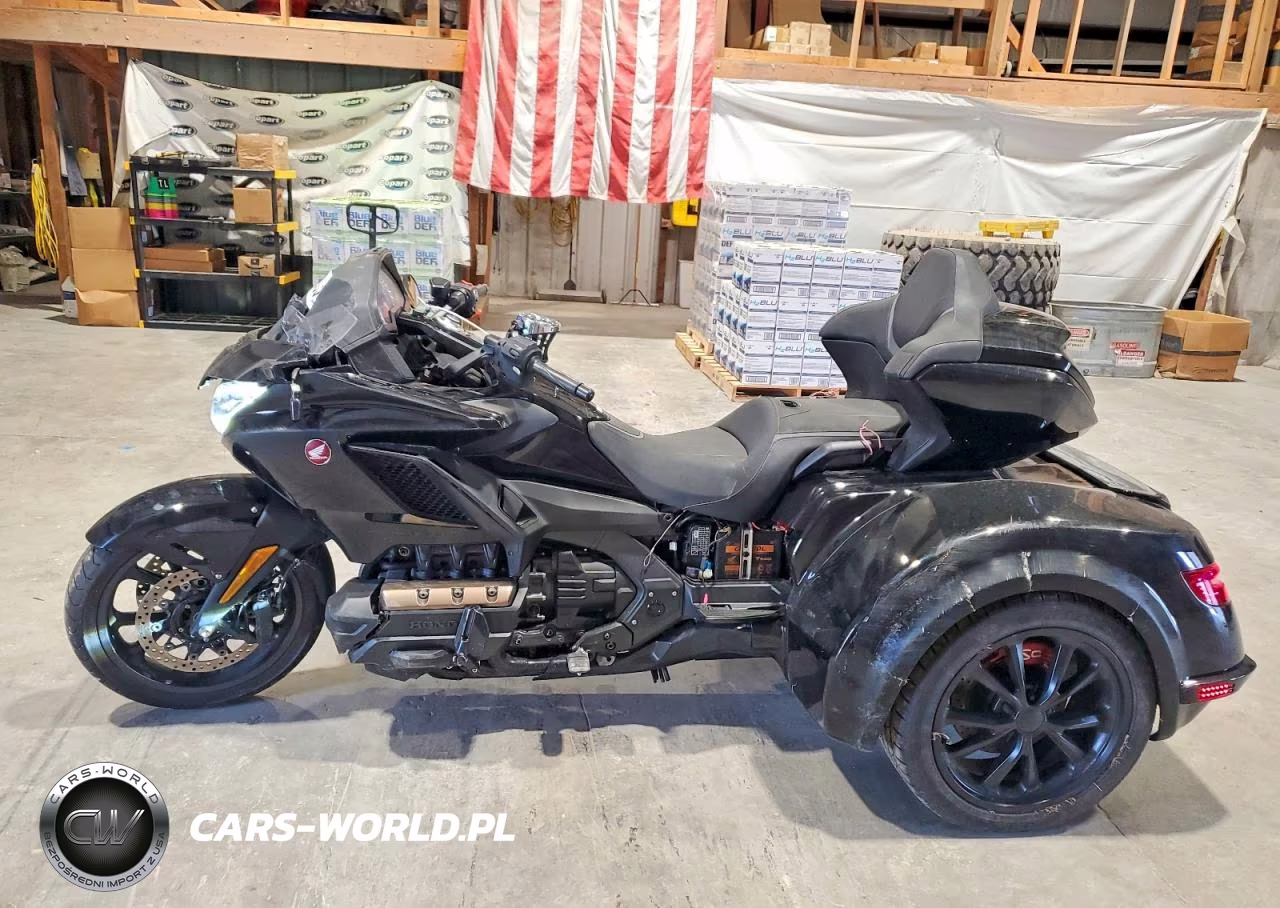 2023 Honda Gl1800 D VIN:JH2SC7950PK501029 - 3