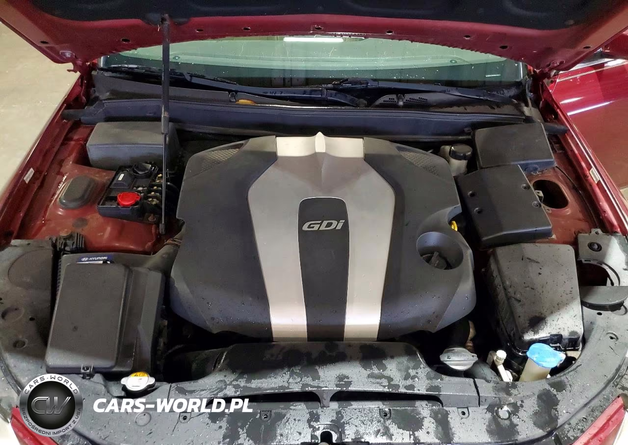 2013 Hyundai Genesis 3.8L VIN:KMHGC4DD4DU210217 - 11