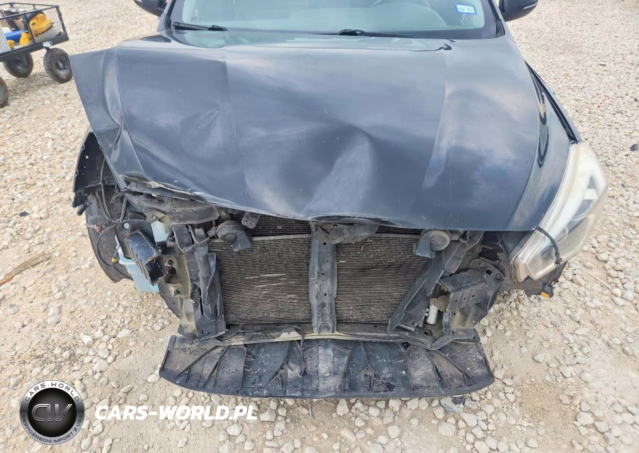 2014 Kia Cadenza Premium VIN:KNALN4D77E5137845 - 11