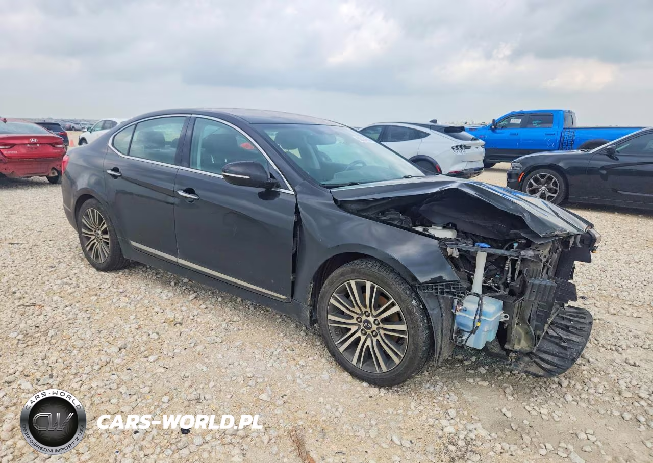 2014 Kia Cadenza Premium VIN:KNALN4D77E5137845 - 4