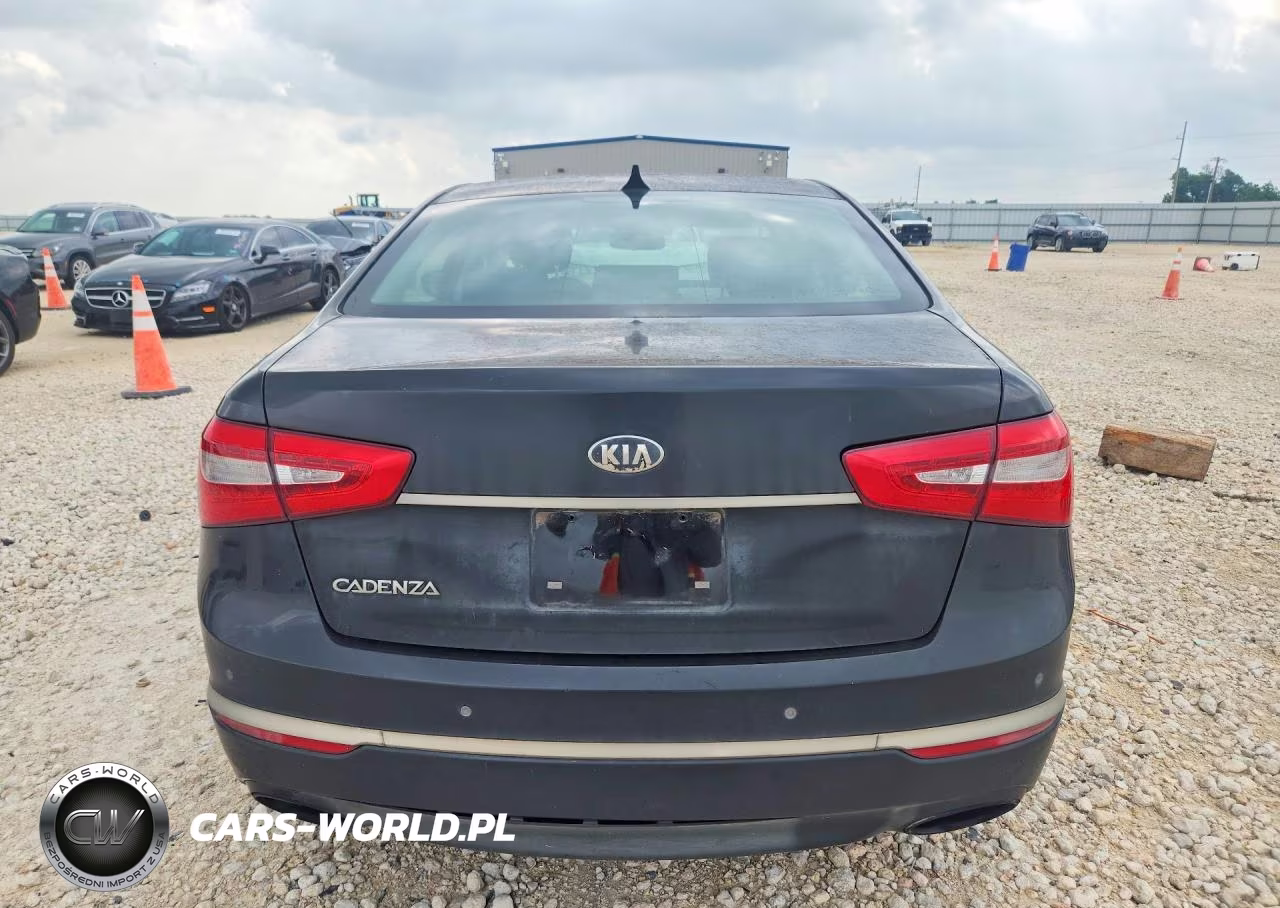 2014 Kia Cadenza Premium VIN:KNALN4D77E5137845 - 6