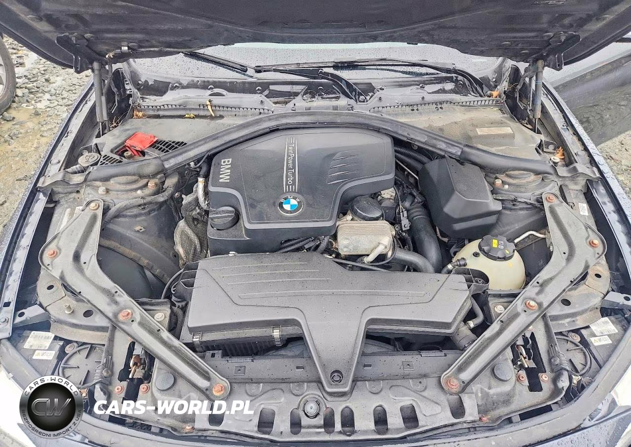 2015 BMW 428 Xi VIN:WBA3V9C55FP799328 - 11