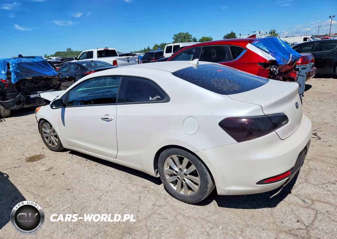 2015 Kia Forte VIN:KNAFX6A88F5348666 - 2