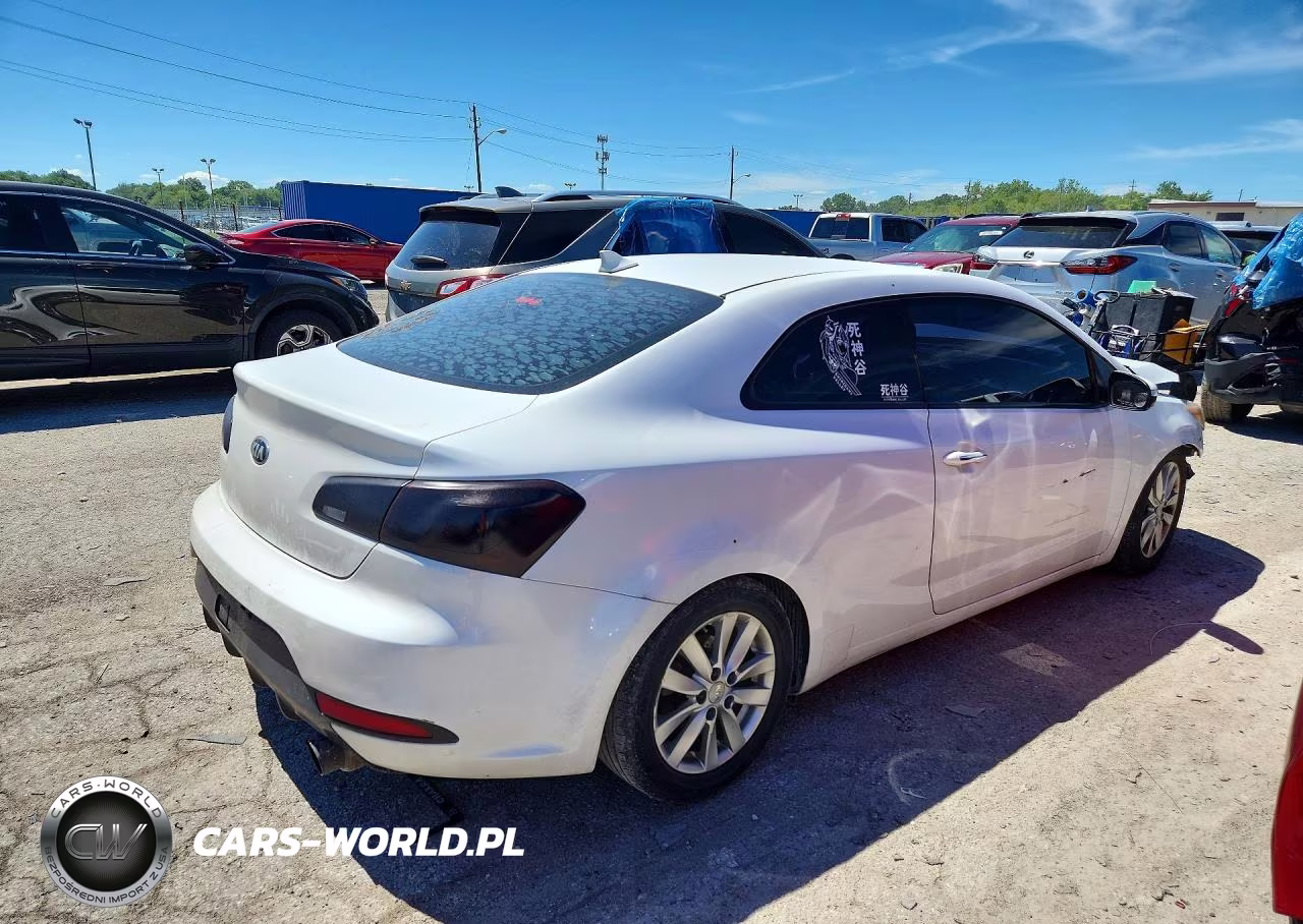 2015 Kia Forte VIN:KNAFX6A88F5348666 - 3