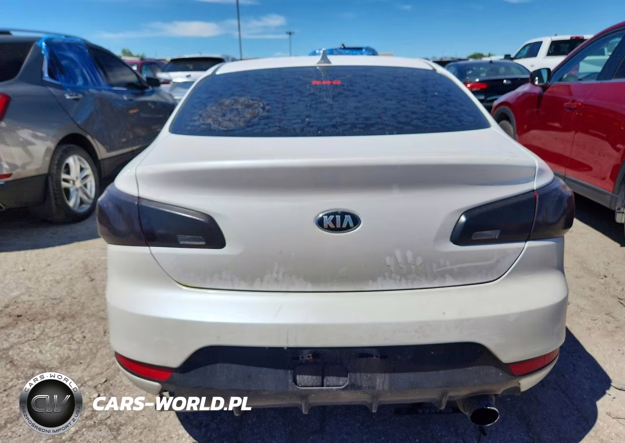 2015 Kia Forte VIN:KNAFX6A88F5348666 - 6