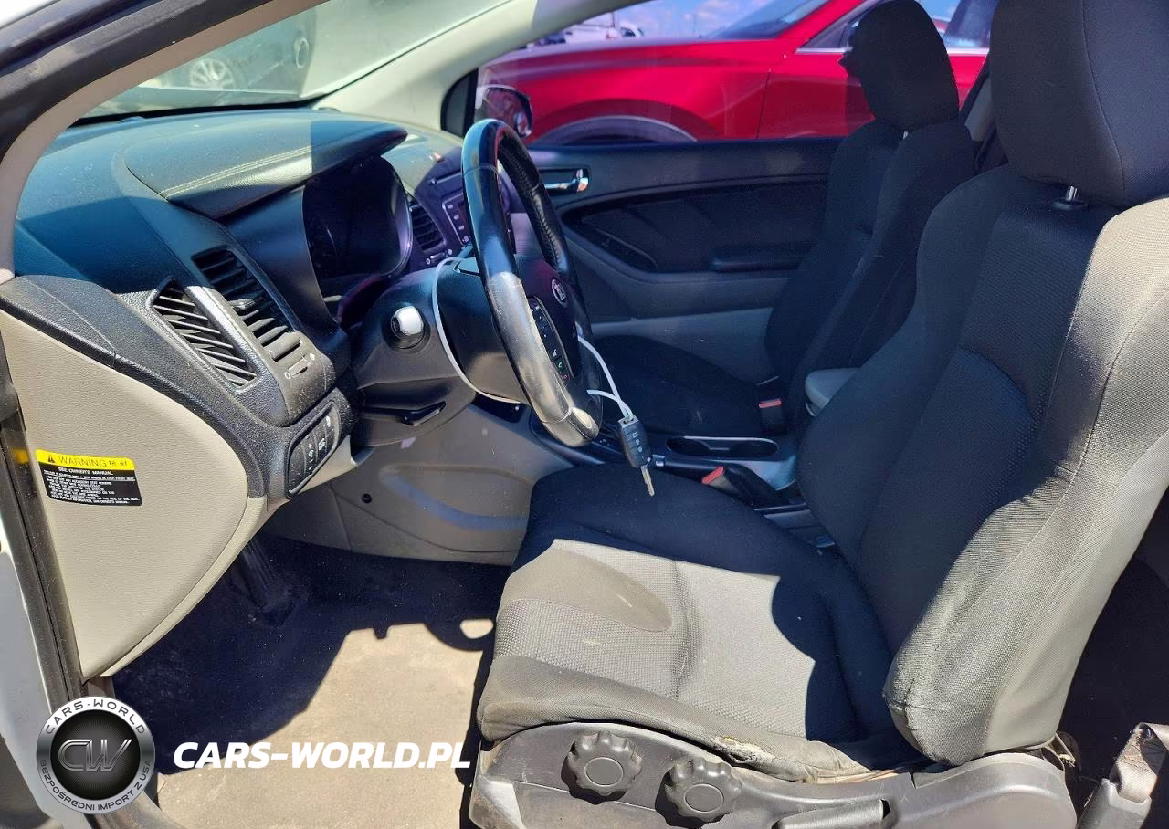 2015 Kia Forte VIN:KNAFX6A88F5348666 - 7