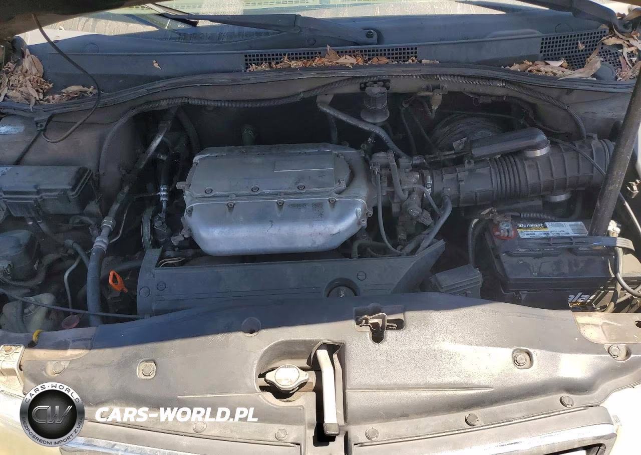 2004 Honda Odyssey Exl VIN:5FNRL18954B114834 - 12