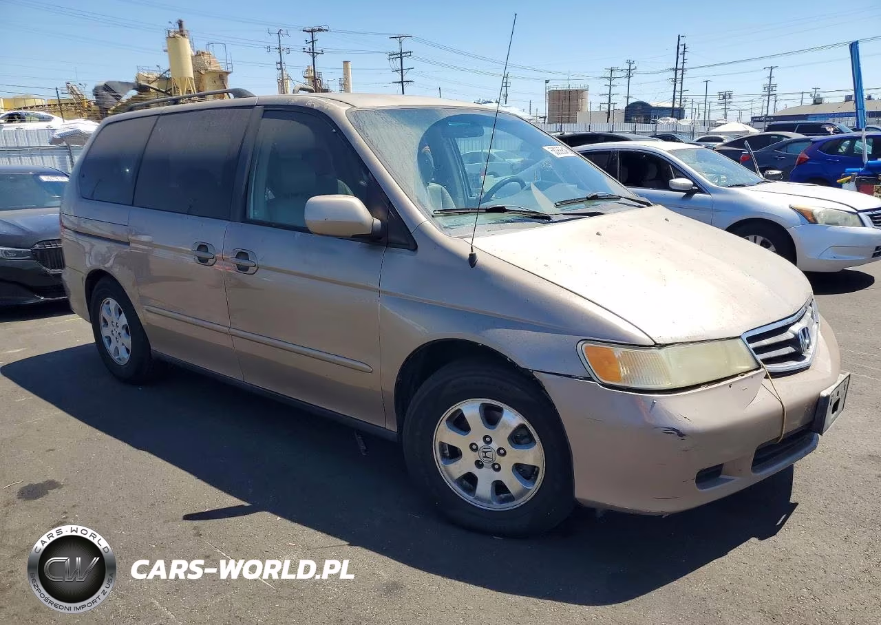 2004 Honda Odyssey Exl VIN:5FNRL18954B114834 - 4