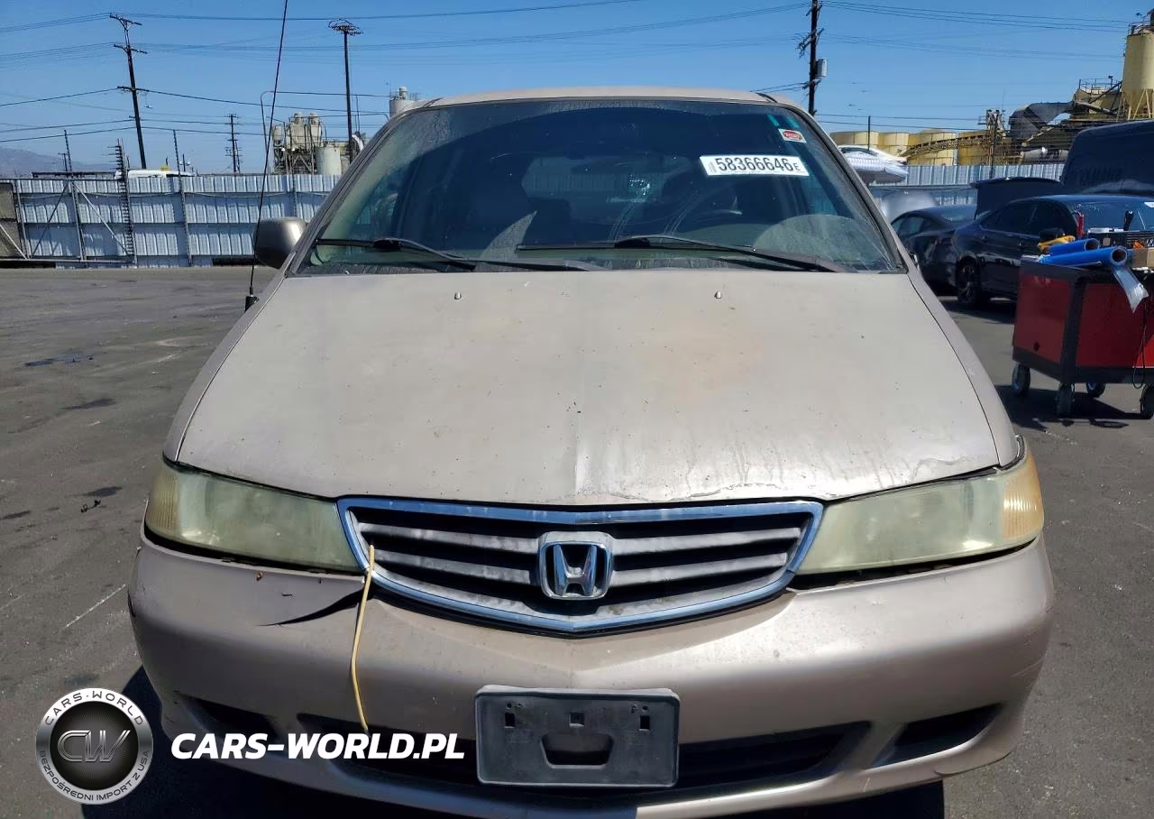 2004 Honda Odyssey Exl VIN:5FNRL18954B114834 - 5