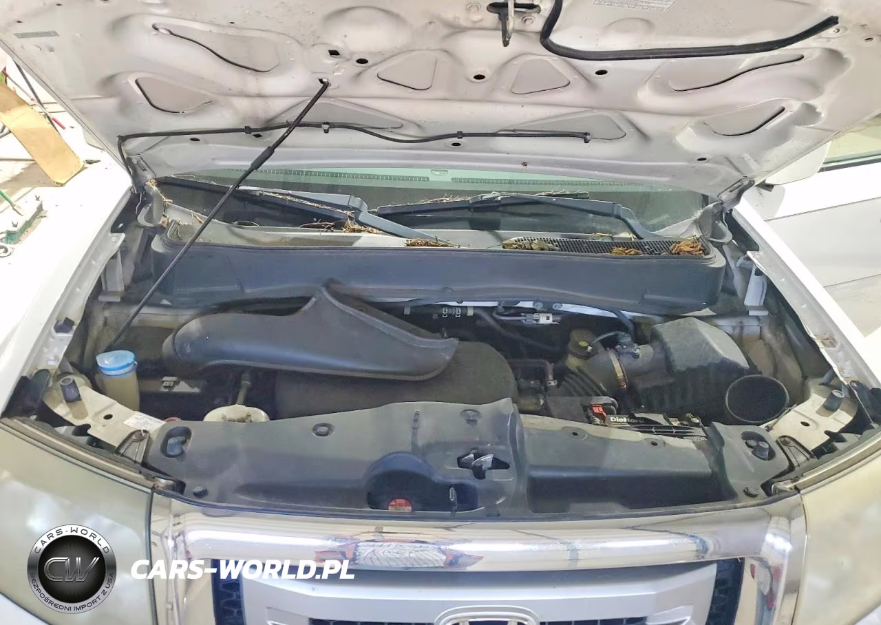 2011 Honda Pilot Exl VIN:5FNYF4H59BB005985 - 12