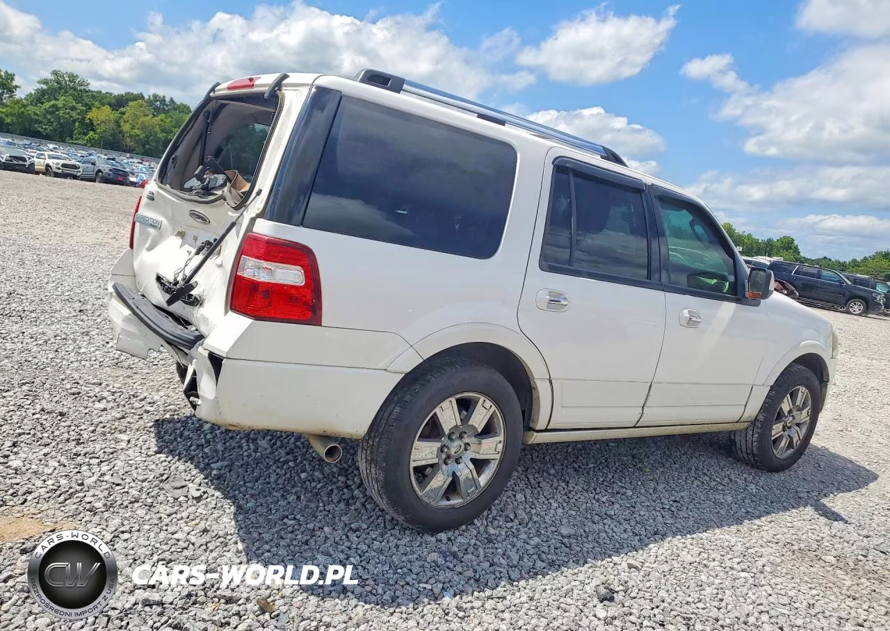 2010 Ford Expedition Limited VIN:1FMJU1K52AEA19463 - 3
