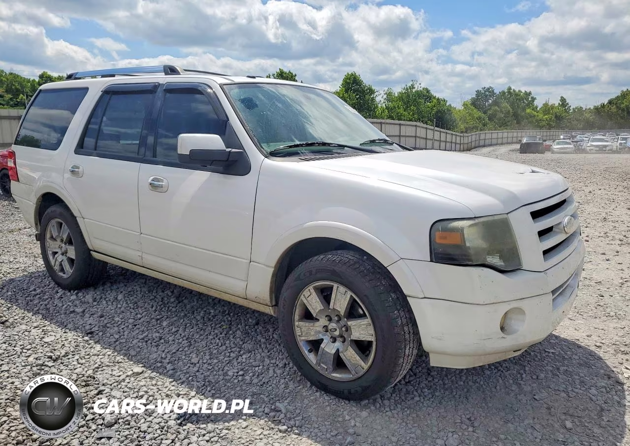 2010 Ford Expedition Limited VIN:1FMJU1K52AEA19463 - 4