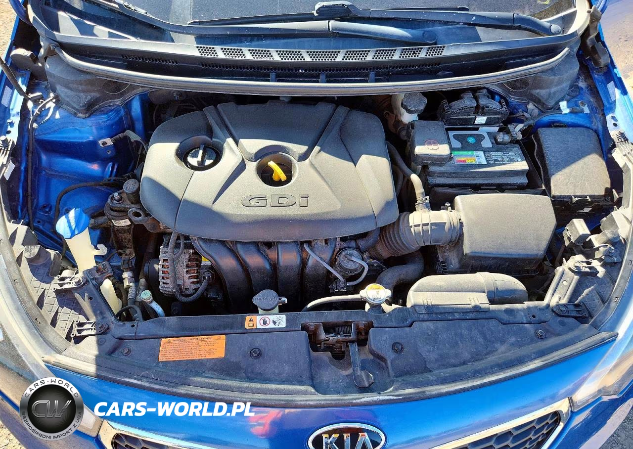 2014 Kia Forte Ex VIN:KNAFX4A83E5124126 - 11