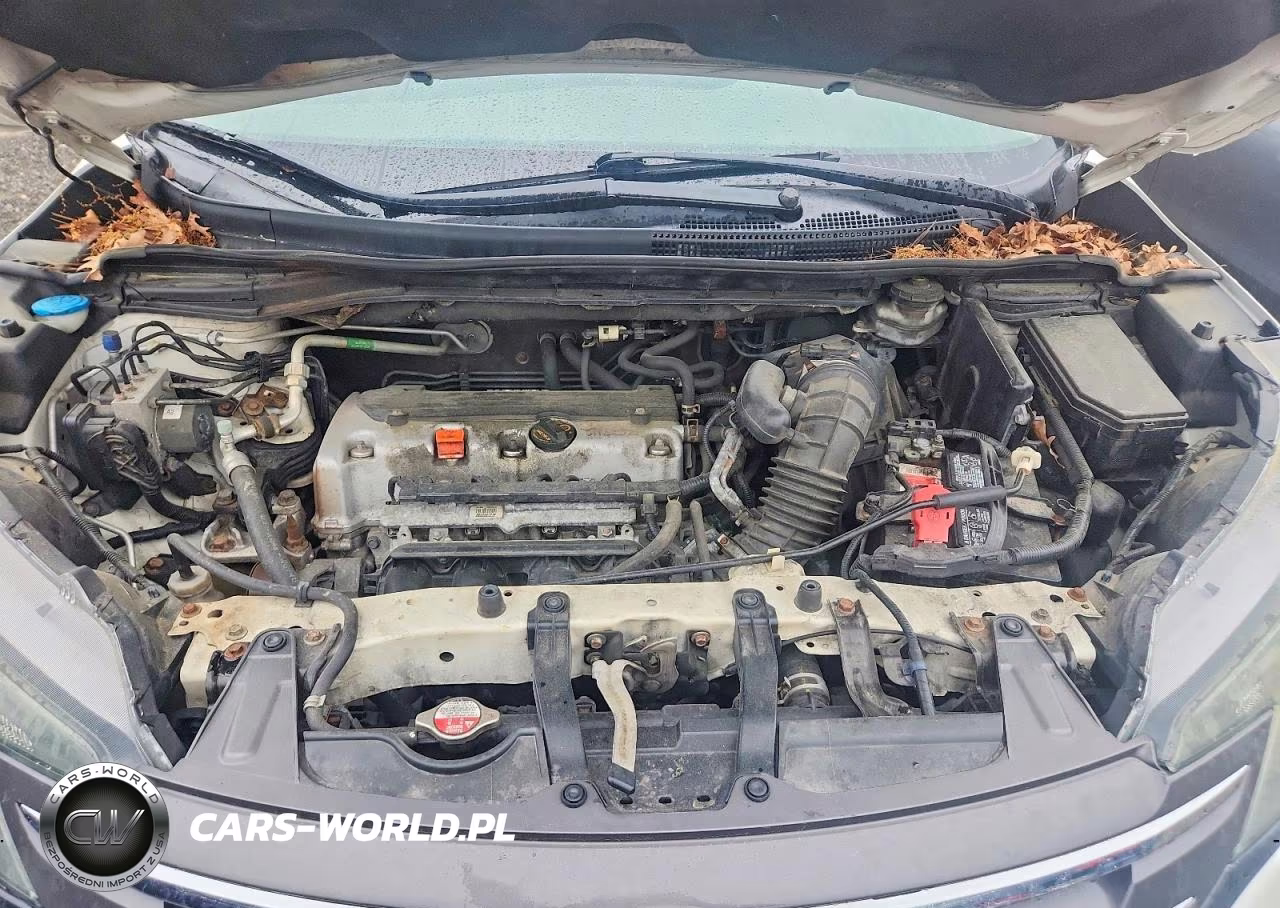 2014 Honda Cr-V Exl VIN:5J6RM4H77EL084953 - 11